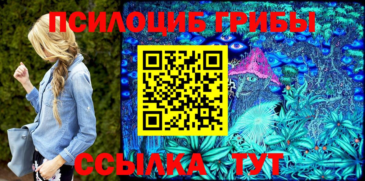 Галлюциногенные грибы Psilocybine cubensis Балаково