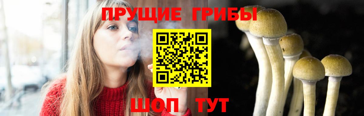Псилоцибиновые грибы ЛСД  магазин продажи наркотиков  Вход с VPN  Балаково  Галлюциногенные грибы мухоморы 